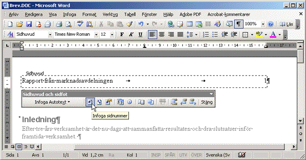 Sidhuvud och sidfot i Word